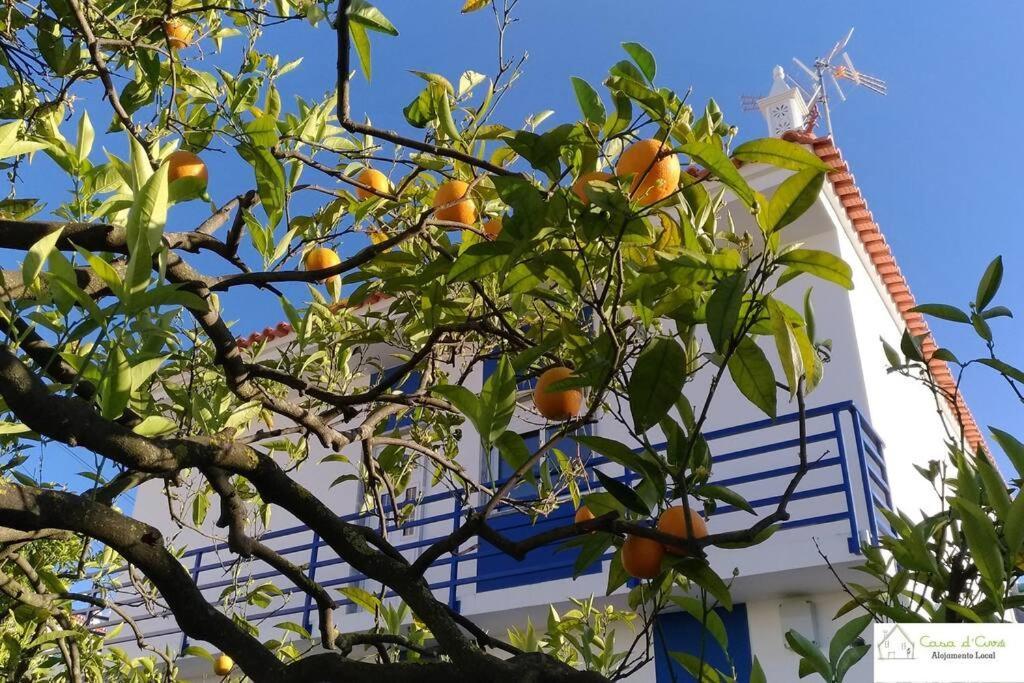 Casa D'Avo Apartment Lozenets Ngoại thất bức ảnh